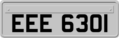 EEE6301