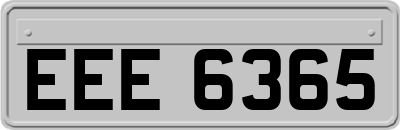 EEE6365