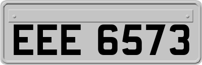 EEE6573