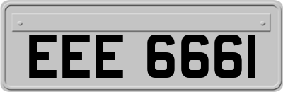 EEE6661