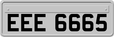 EEE6665