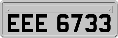 EEE6733
