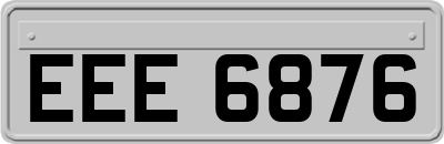 EEE6876