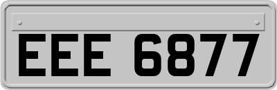 EEE6877