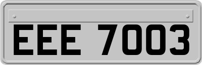 EEE7003