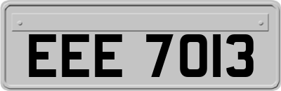 EEE7013