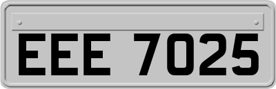 EEE7025
