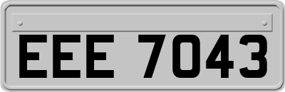 EEE7043