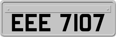 EEE7107