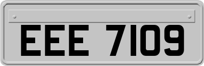 EEE7109