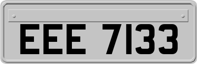 EEE7133
