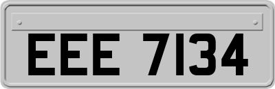 EEE7134