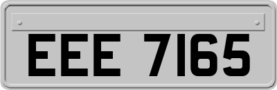 EEE7165