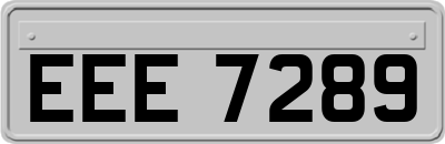 EEE7289