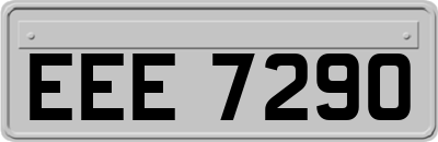 EEE7290