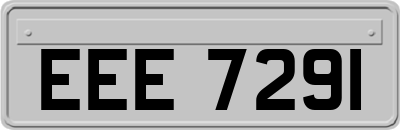 EEE7291