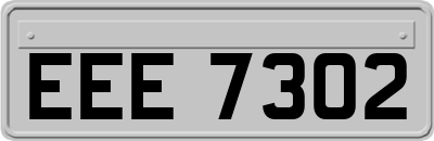 EEE7302