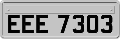 EEE7303