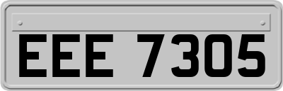 EEE7305