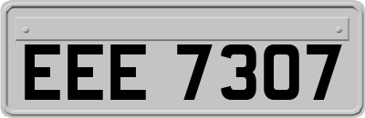 EEE7307