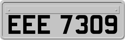 EEE7309