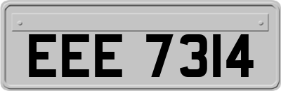 EEE7314