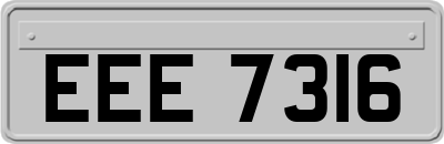 EEE7316