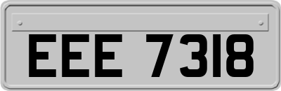 EEE7318