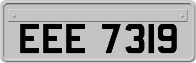 EEE7319