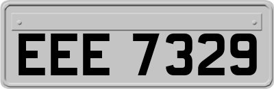 EEE7329
