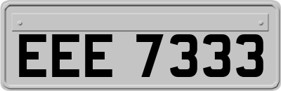 EEE7333