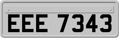 EEE7343