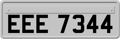 EEE7344