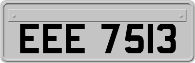 EEE7513