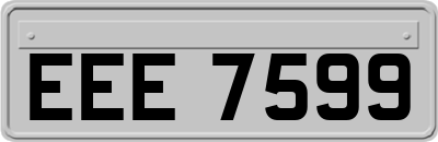 EEE7599