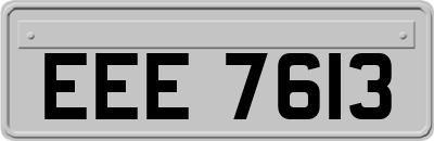 EEE7613