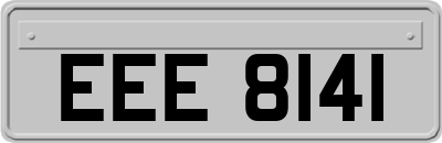EEE8141