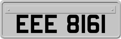 EEE8161