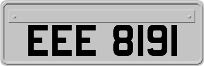 EEE8191