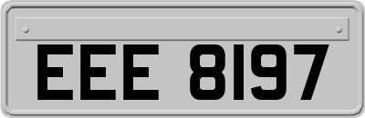 EEE8197