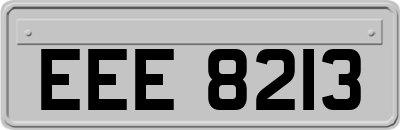 EEE8213