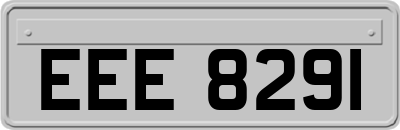 EEE8291