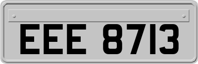 EEE8713
