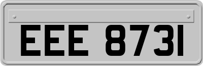 EEE8731