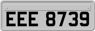 EEE8739