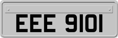 EEE9101