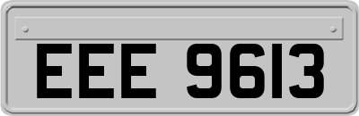 EEE9613