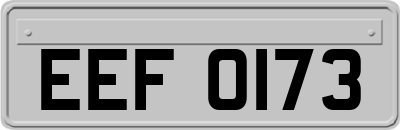 EEF0173