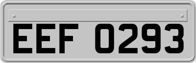 EEF0293