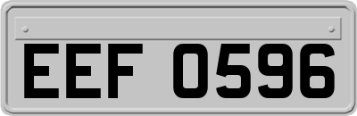 EEF0596